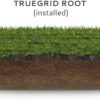 Closeup image of Truegrid Root system