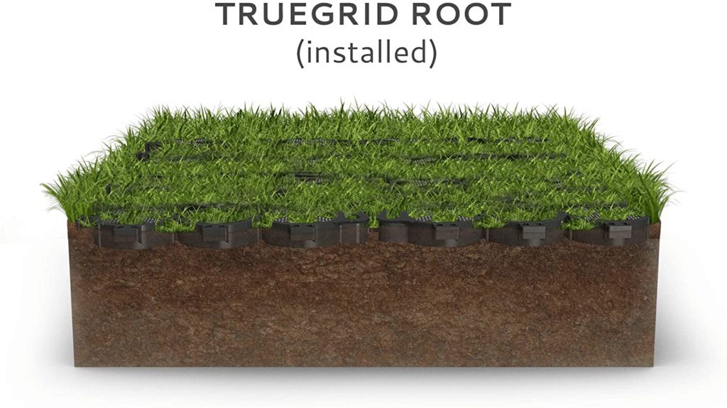 Closeup image of Truegrid Root system