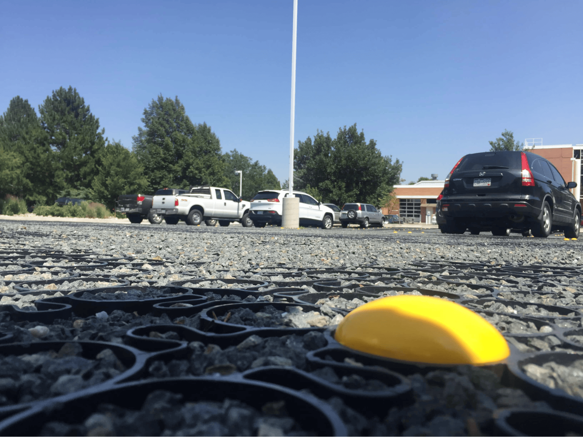 Asphalt Damage and Distress: 13 Types of Pavement Deterioration - TRUEGRID  Pavers