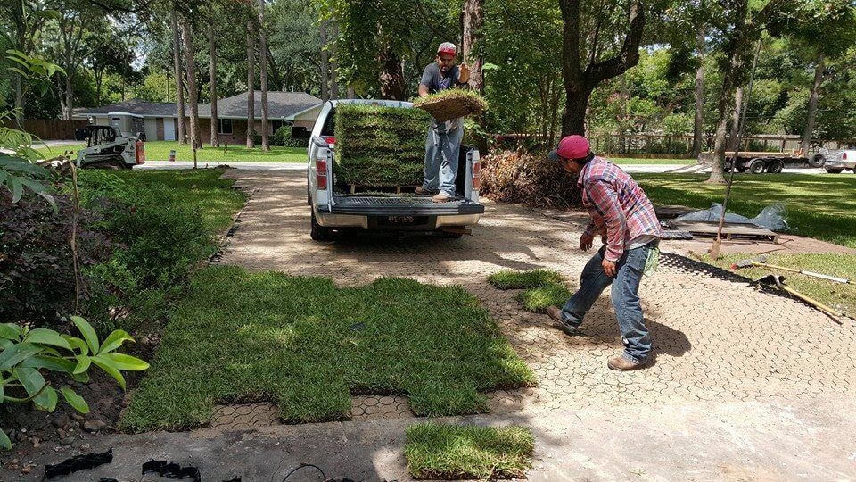 Instant grass pavers as a 2024 landscaping trend