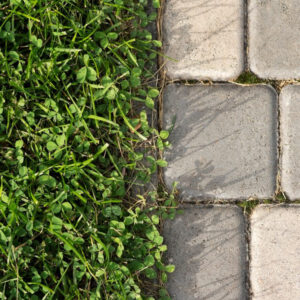 The Pros and Cons of Permeable Pavement