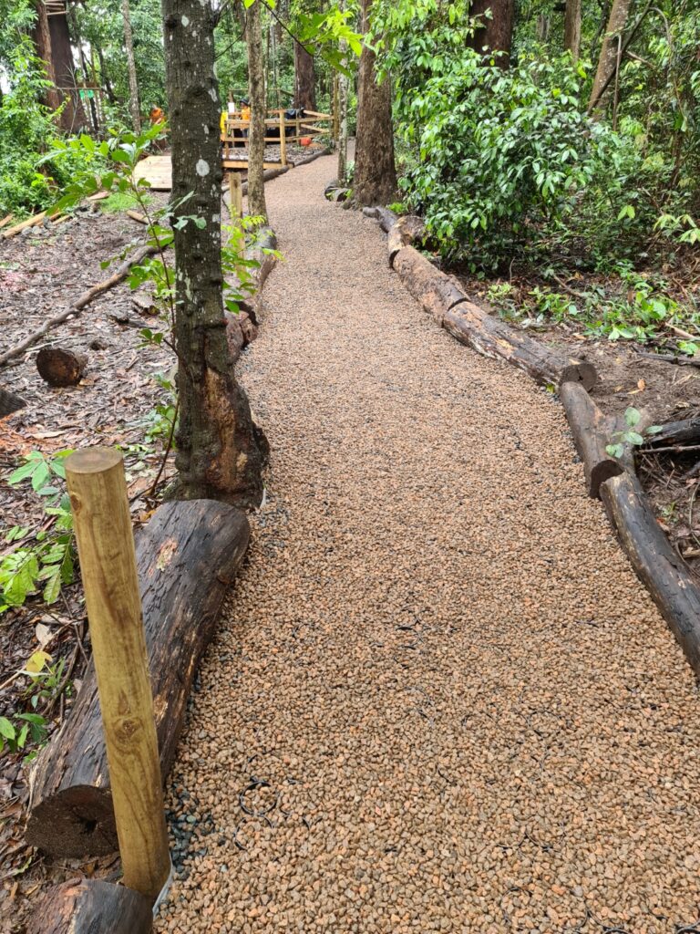 a driveway walkway idea that is lined with trees