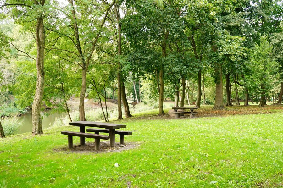 an image of an eco-friendly park design with two benches and tables