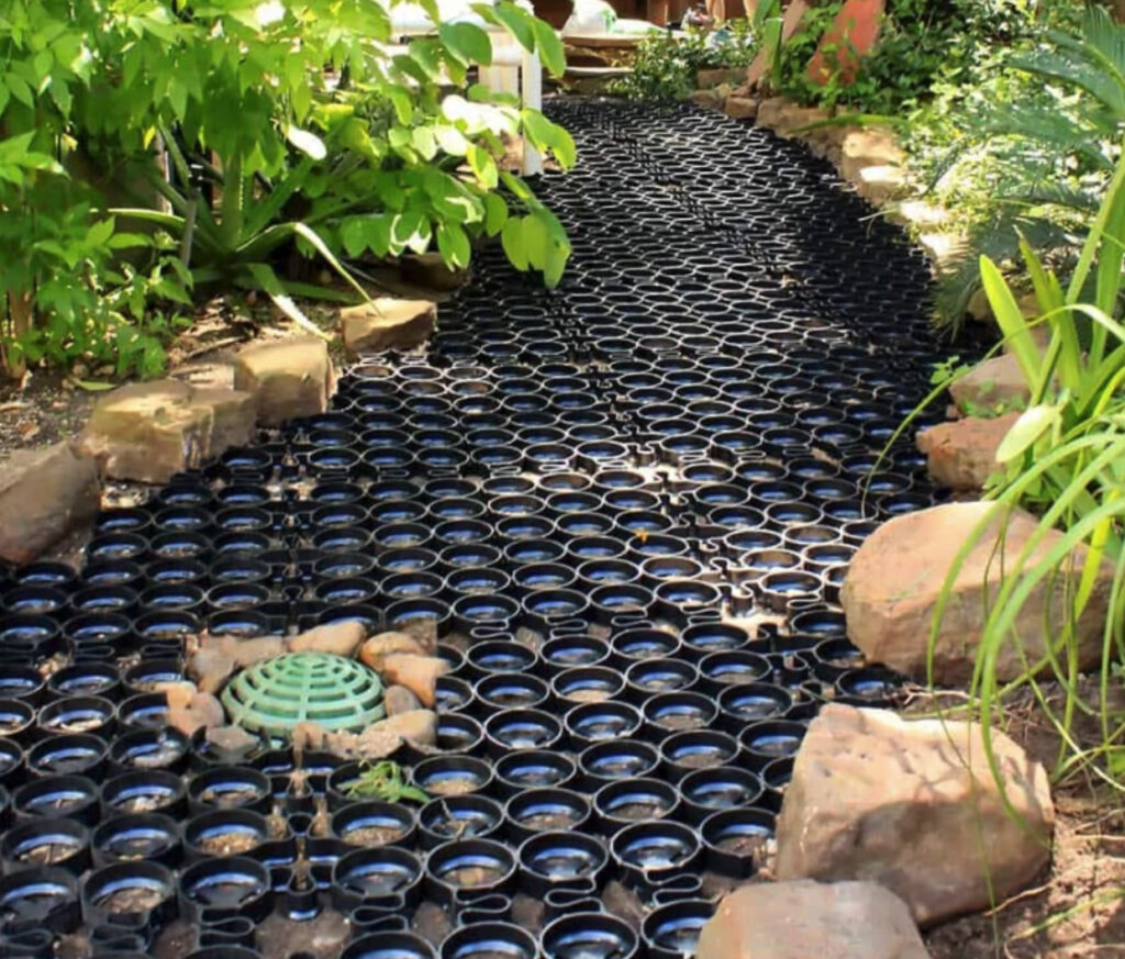 Rock-lined pathway design in a backyard. 