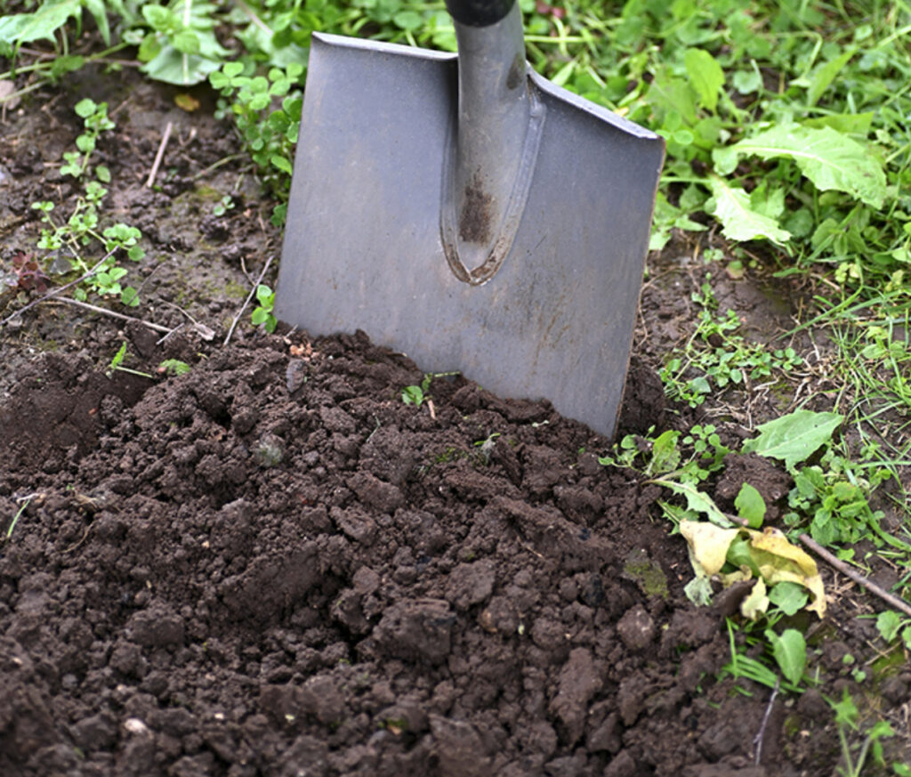 Excavating with a shovel and removing soil Photo by Andres Siimon on Unsplash