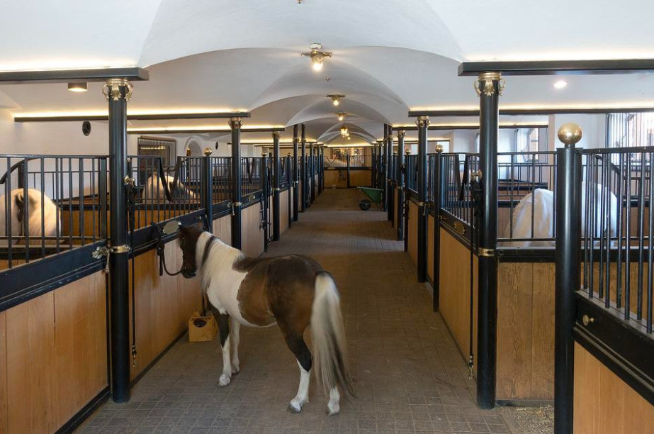 cluttered horse barn with limited space.