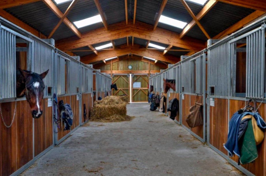 horse barn design with large stall and permeable paved floors