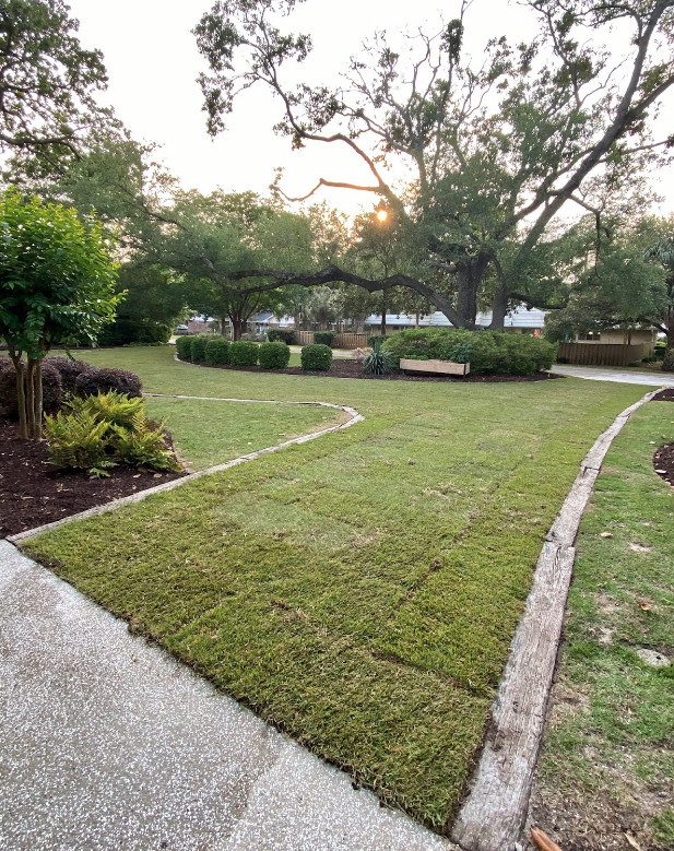 During installation, sod is placed on the permeable paver to be compacted into the grids.