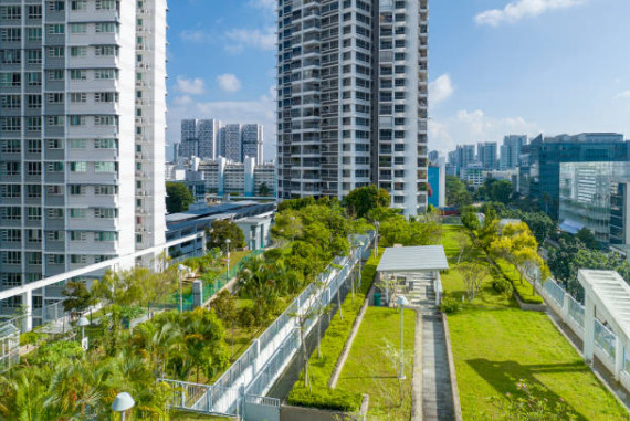 A green roof in a vibrant downtown setting.