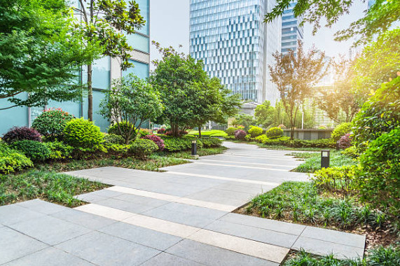 Lush vegetation enhancing a downtown urban setting.