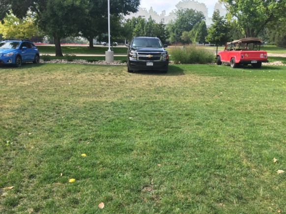 Grass overflow parking, supported by permeable pavers, can reduce the urban heat island effect and air-condition the air.