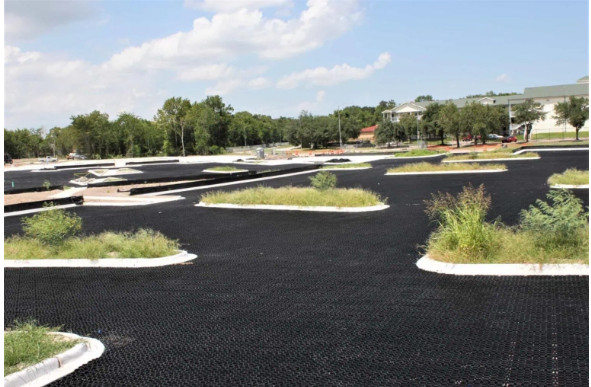 TRUEGRID paver system for durable, eco-friendly parking.