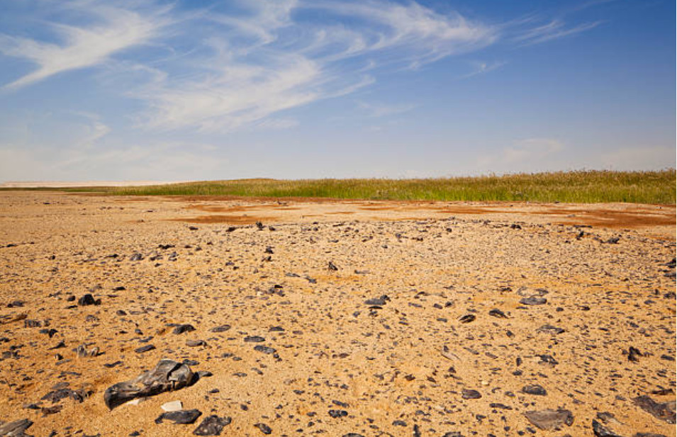 The dry bottom of a lake bed, highlighting the growing population strain on fresh water.