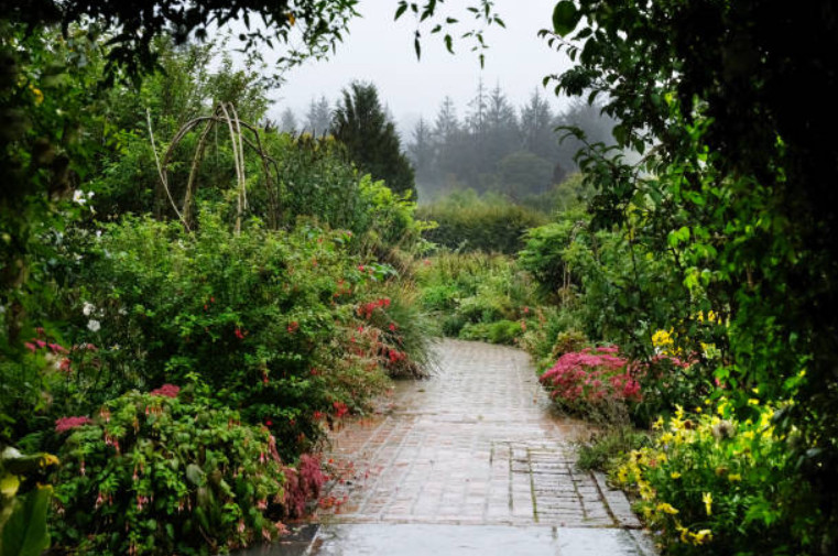 A garden pathway with lush plants surrounding it. 